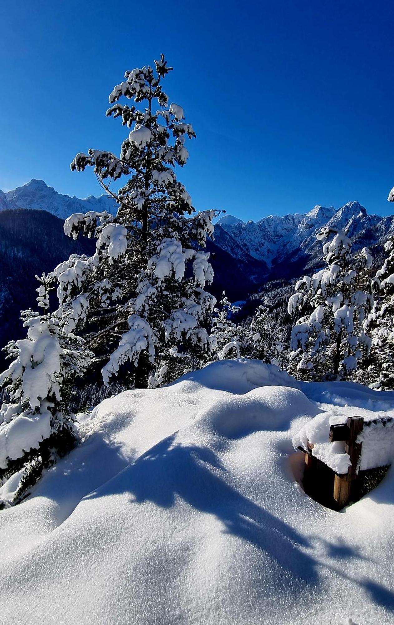 Holiday Chalet "Alpine Dreams" With Private Wellness Солчава Экстерьер фото