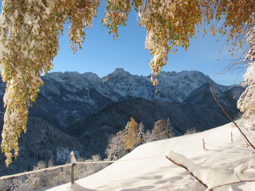 Holiday Chalet "Alpine Dreams" With Private Wellness Солчава Экстерьер фото